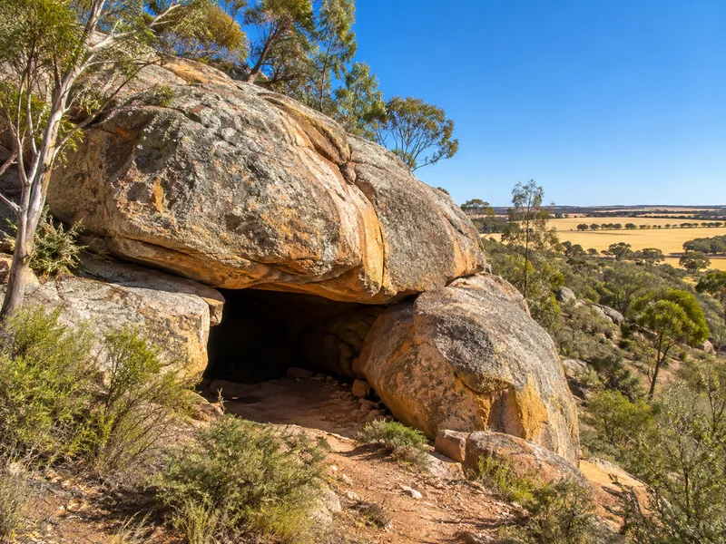 Excursion privée d'une journée à Wave Rock et Mulka's Cave