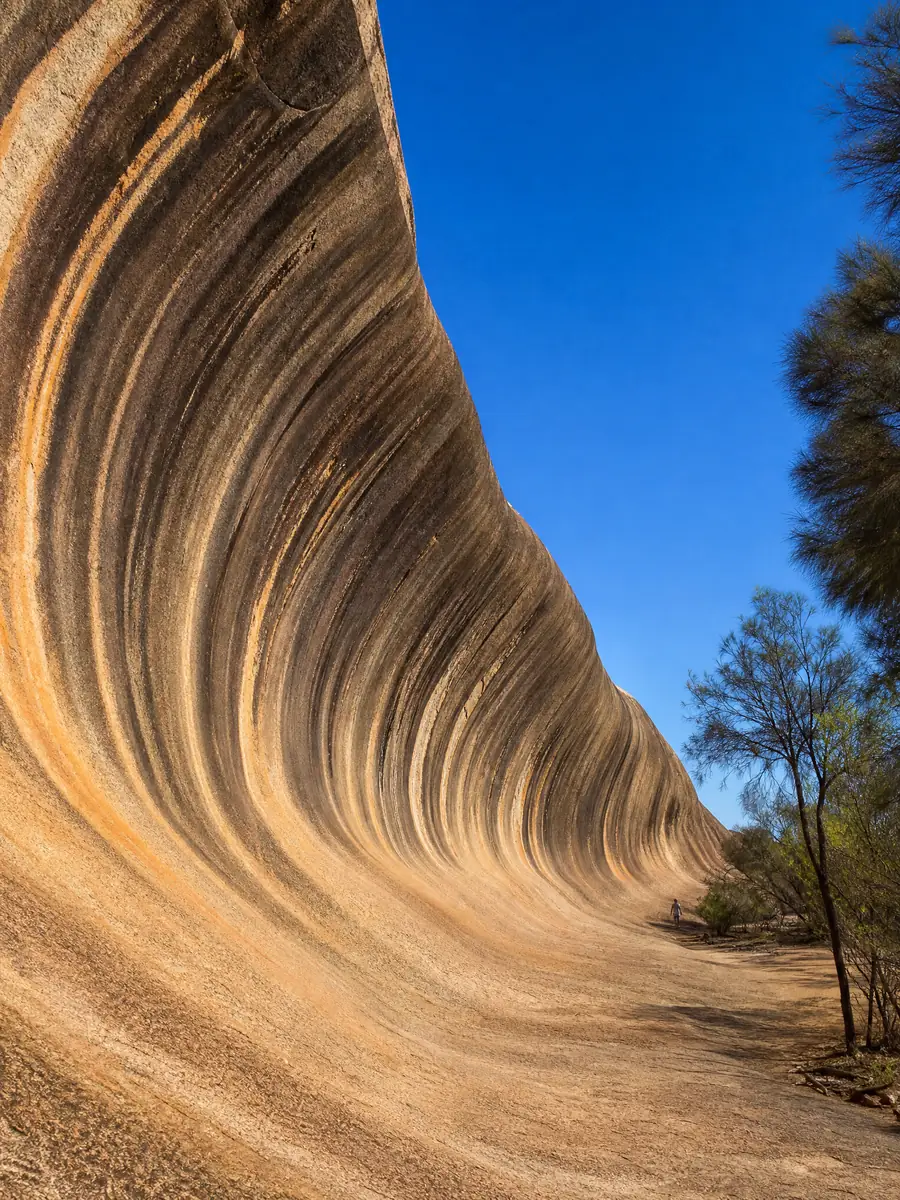 Vue vers le haut dans la courbe de Wave Rock, son granit strié en surplomb sous un ciel bleu
